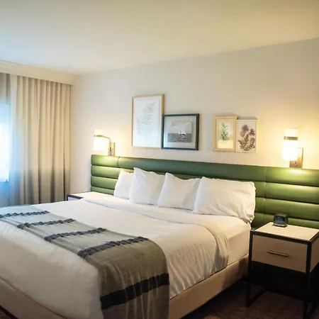 The Ingleside Hotel-2